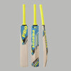 Protos bat Kashmir Willow